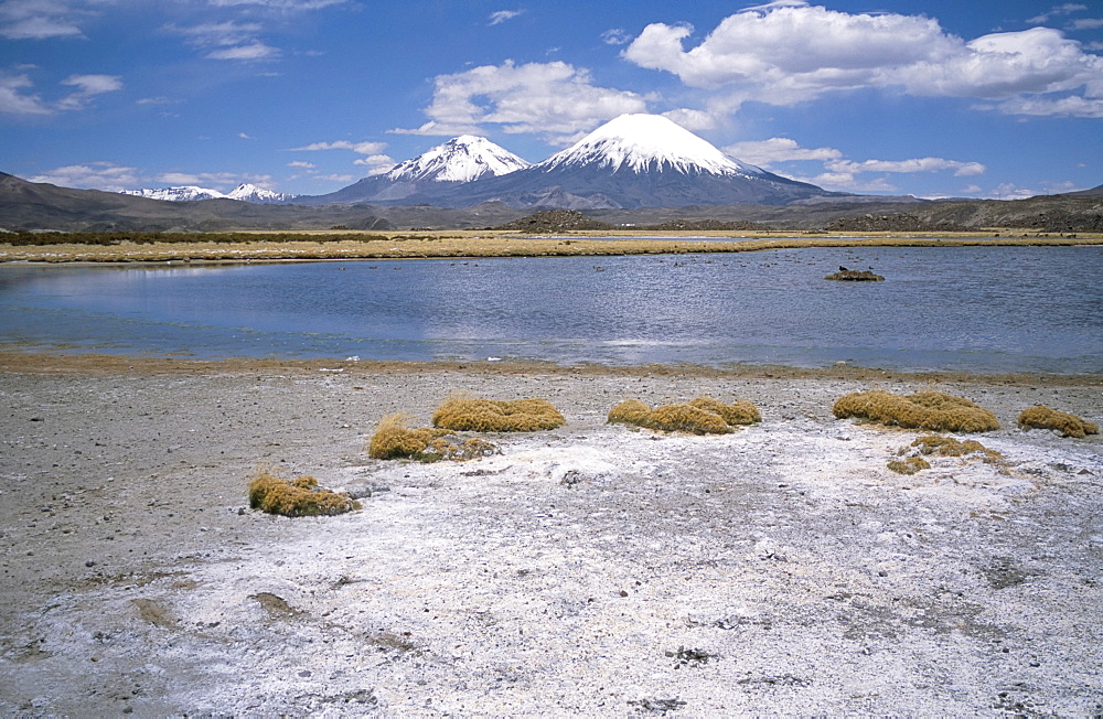 Volcan Parinacota (6330m) on right, Volcan Pomerape (6240m) on left, volcanoes in the Lauca National Park, Andes mountains, Chile, South America