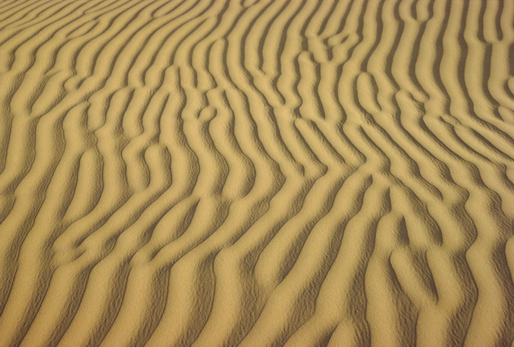 Sand ripples, Sahara, Algeria, North Africa, Africa