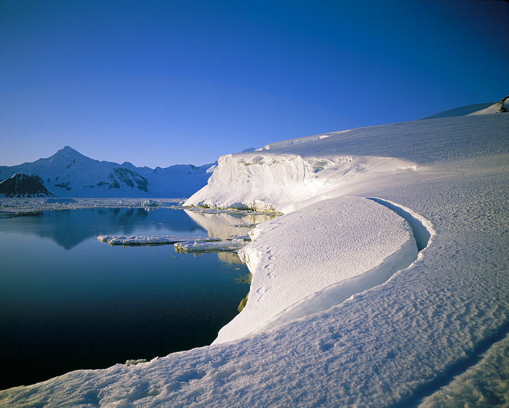 Ice front, Adelaide Island, Antarctica, Polar Regions