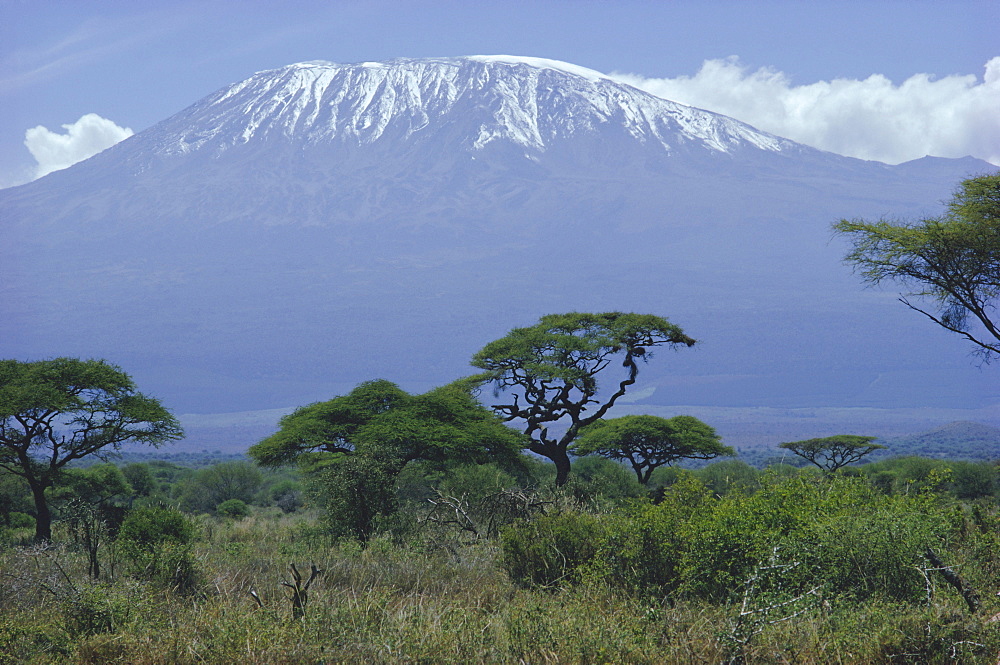 Mt. Kilimanjaro, Kenya, Africa