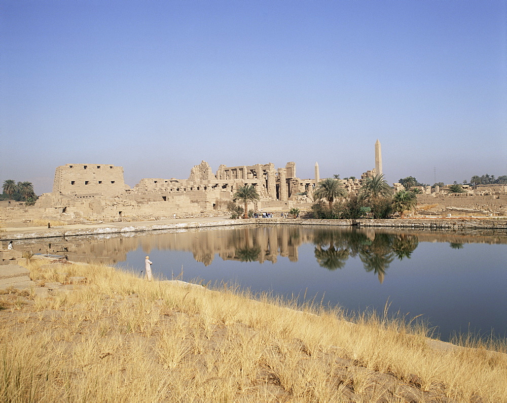 Sacred lake, Temple of Karnak, Thebes, UNESCO World Heritage Site, Egypt, North Africa, Africa