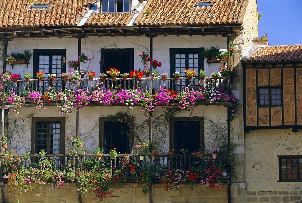 House with balconies and flowers, Santilla del Mar, Cantabria, Spain, Europe