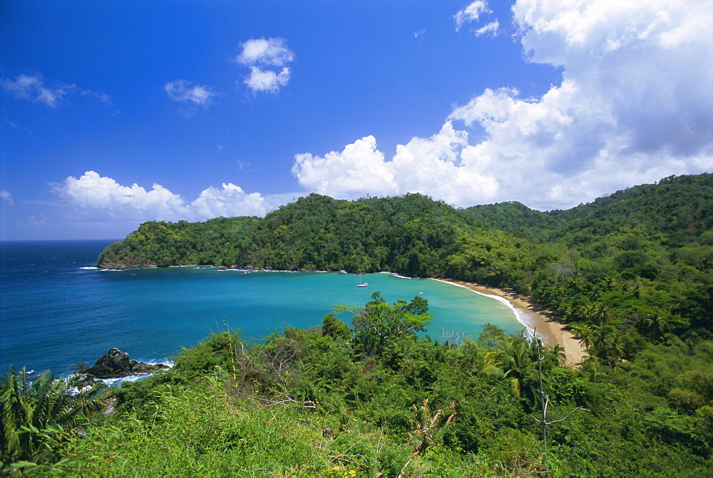 Englishman's Bay, Tobago, Trinidad and Tobago, West Indies, Caribbean, Central America