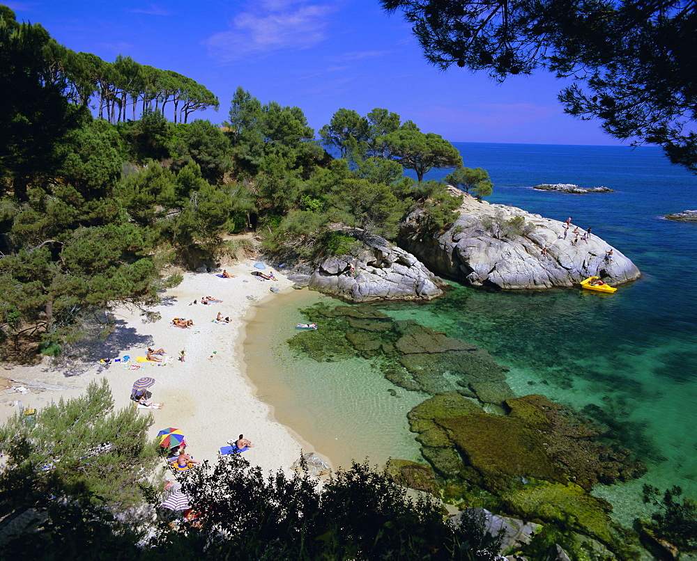 Typical Costa Brava scenery near S'Agaro, Costa Brava, Catalunya (Catalonia) (Cataluna), Spain, Europe