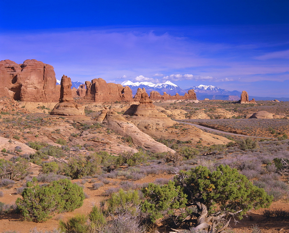 The Windows section, Arches National Park and La Sal mountains, Utah, USA, North America