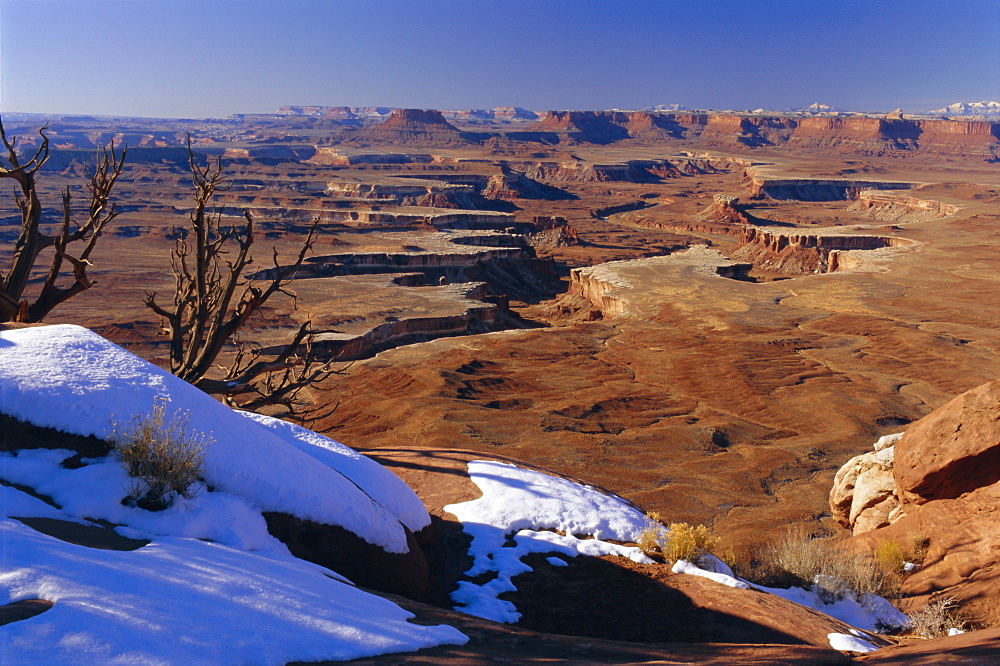 Green River overlook, Island in the Sky, Canyonlands National Park, Utah, USA, North America