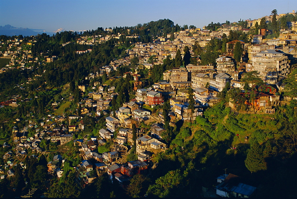 Gangtok in early morning light, Sikkim, India, Asia