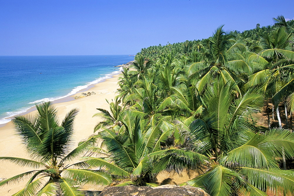 Beach and coconut palms, Kovalam Beach, Kerala state, India, Asia