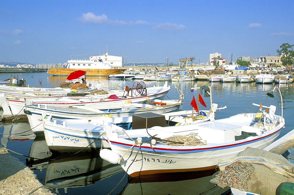 Fishing boats in the fishing harbour, Tyre (Sour), Lebanon, Middle East