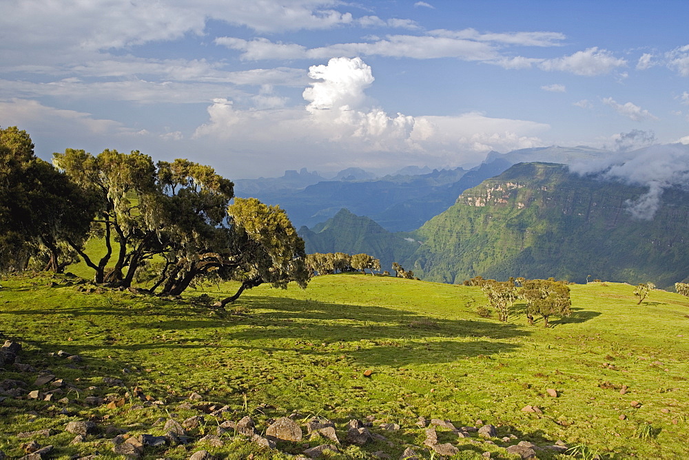 View looking towards the Nortern Escarpment near Sankaber, UNESCO World Heritage Site, Simien Mountains National Park, Ethiopia, Africa