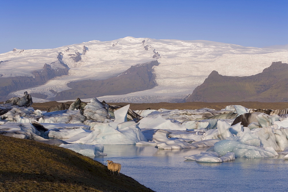 Icebergs floating in the Lagoon beneath Breidamerkurjokull Glacier, Jokulsarlon (Glacial River Lagoon), southern Vatnajokull, southern area, Iceland, Polar Regions