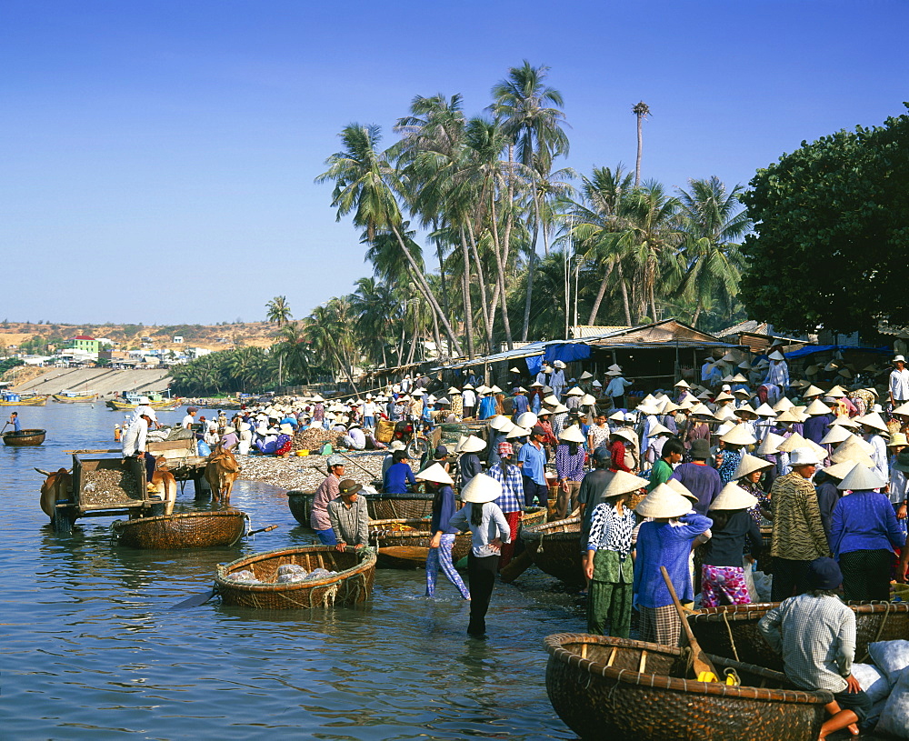 Fishing village people collecting the morning catch from fishing boat fleet, Mui Ne, south-central coast, Vietnam, Indochina, Southeast Asia, Asia