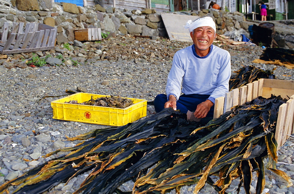 Seaweed farmer, Rebun Island, Hokkaido, Japan, Asia