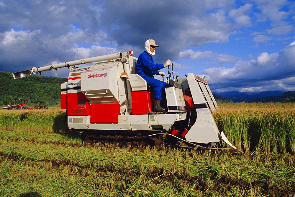 Rice harvest, Hokkaido, Japan