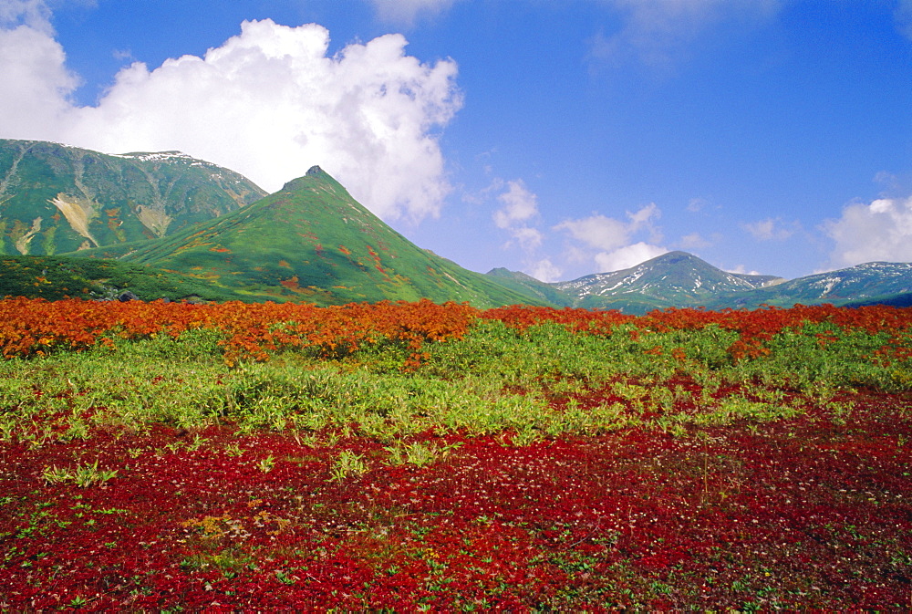 Daisetsuzan National Park in Autumn, Hokkaido, Japan