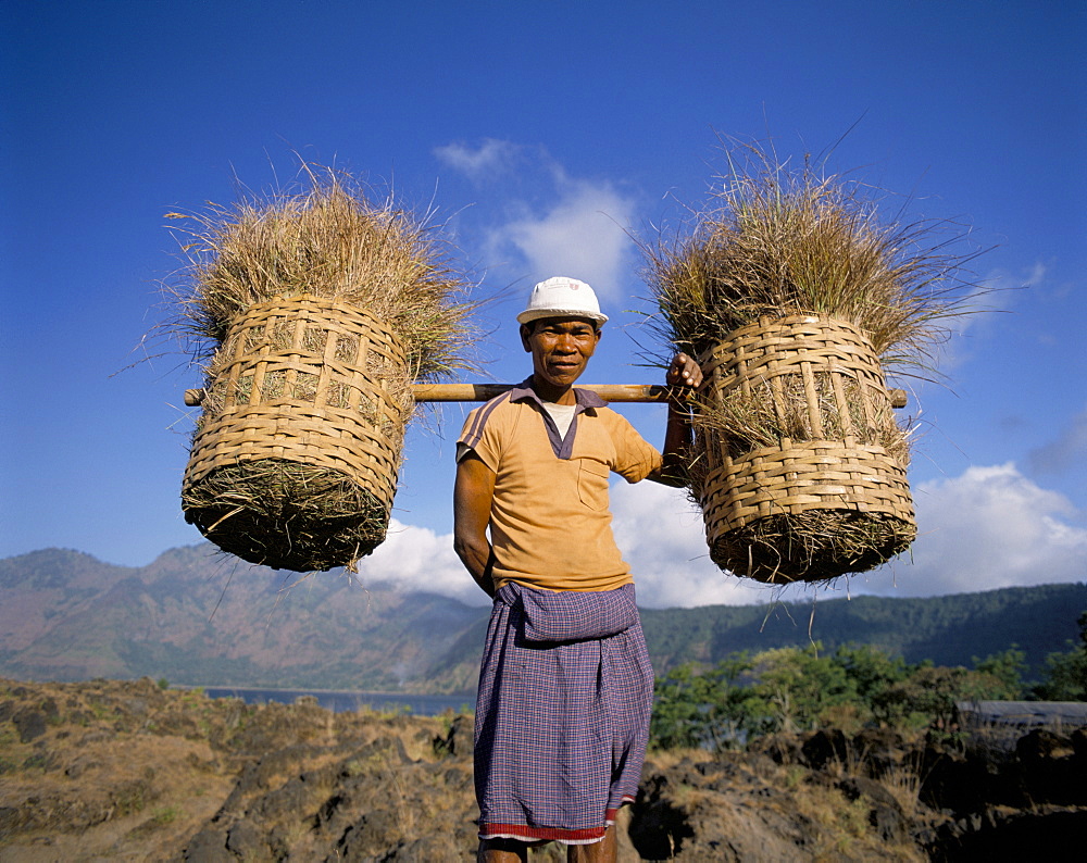 Farmer carrying baskets, Bali, Indonesia, Southeast Asia, Asia