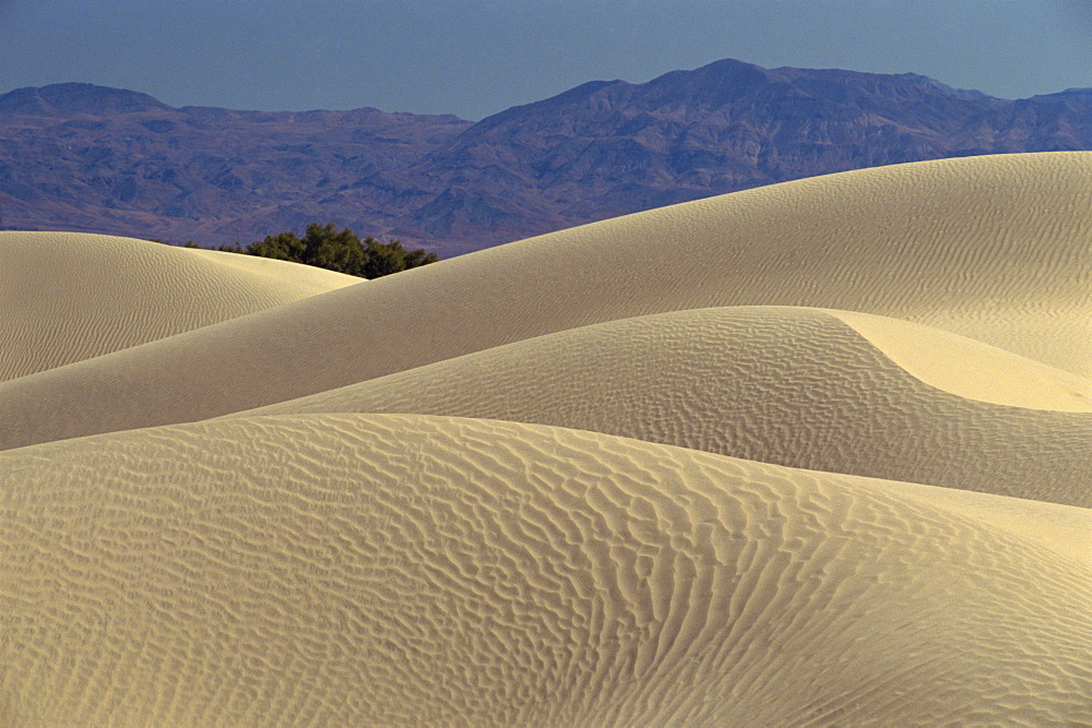 Sand dunes of Death Valley National Monument, California, United States of America, North America