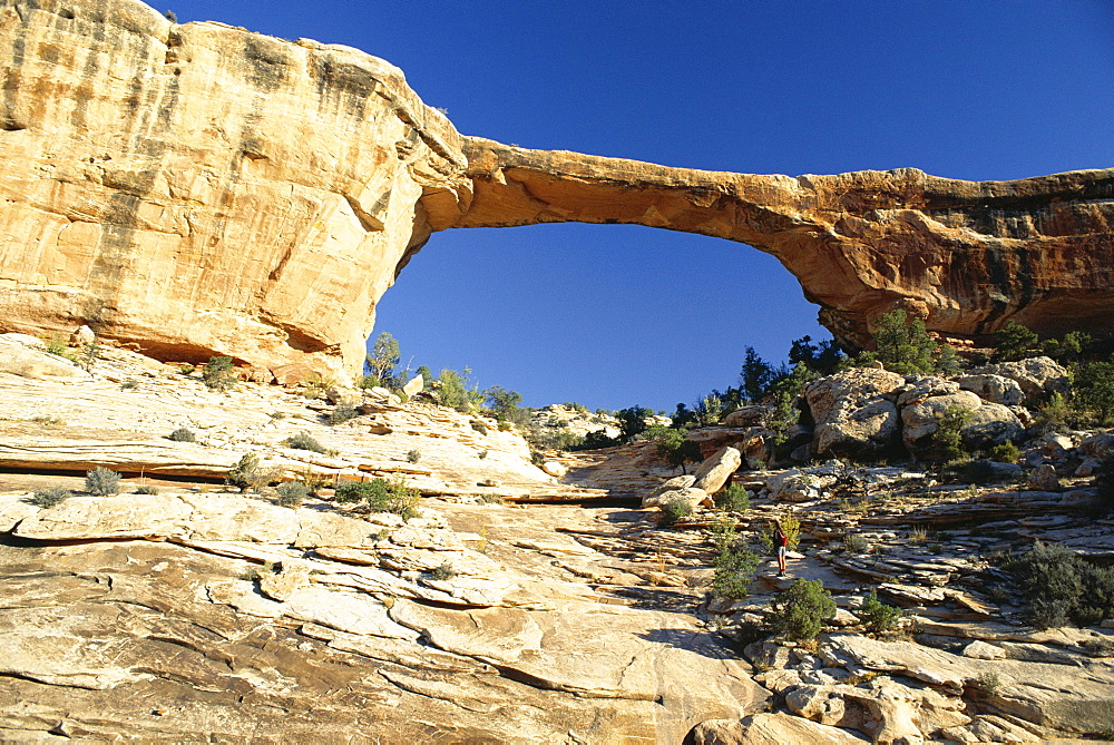 Owachomo Bridge, Natural Bridges National Monument, Utah, United States of America (U.S.A.), North America