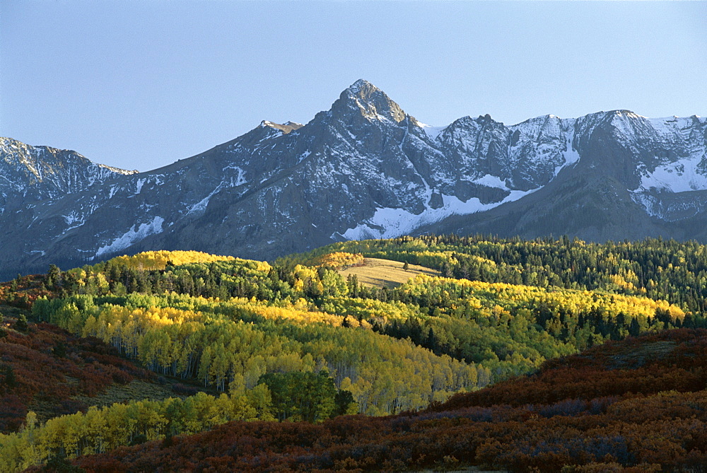 Autumn colours, Colorado, United States of America (U.S.A.), North America