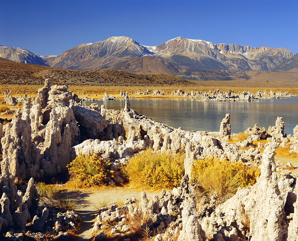 Tufas of calcium carbonate, Mono Lake State Reserve, California, USA