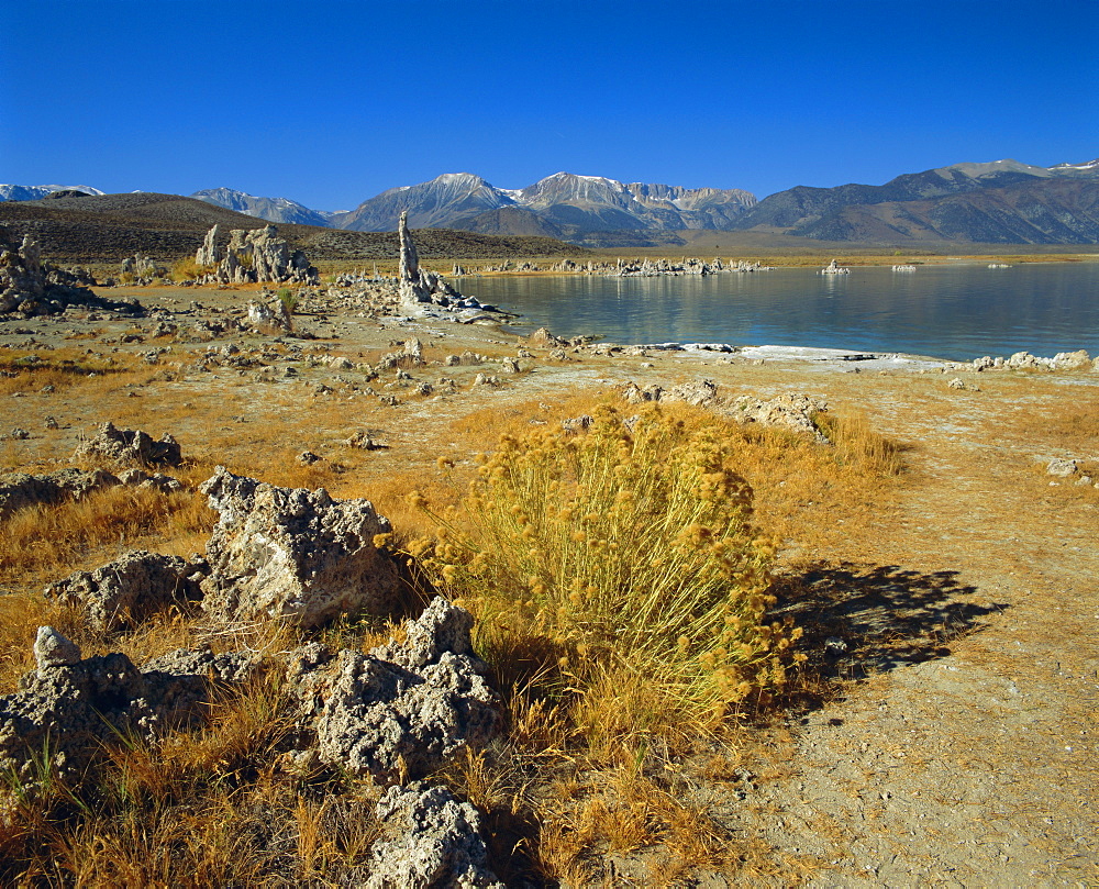 Tufas (calcium carbonate), Mono Lake, Tufa State Reserve, California, USA, North America