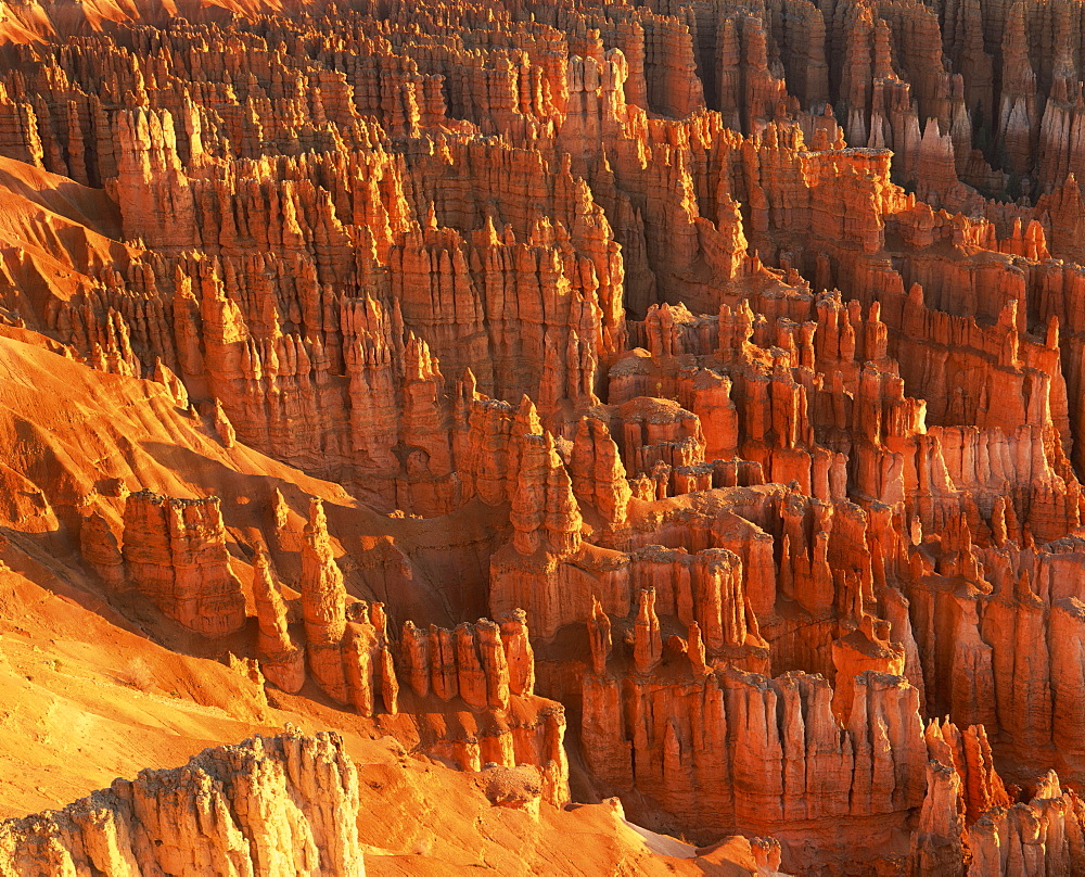 Pinnacles and rock formations caused by erosion, known as Hoodoo Monoliths in Bryce Amphitheater, in the Bryce Canyon National Park, Utah, United States of America, North America