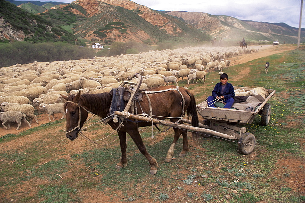 Shepherds in the Dzhety-Oguz valley, near Lake Issyk-kul, Kirghizstan, Central Asia, Asia