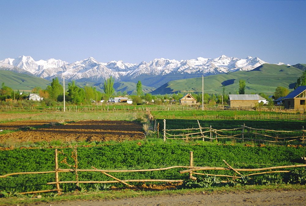 Tersey Alatoo mountains by Lake Issyk-Kul, Tien Shan (Tian Shan) Range, Kirghizstan (Kyrgyzstan), FSU, Central Asia, Asia