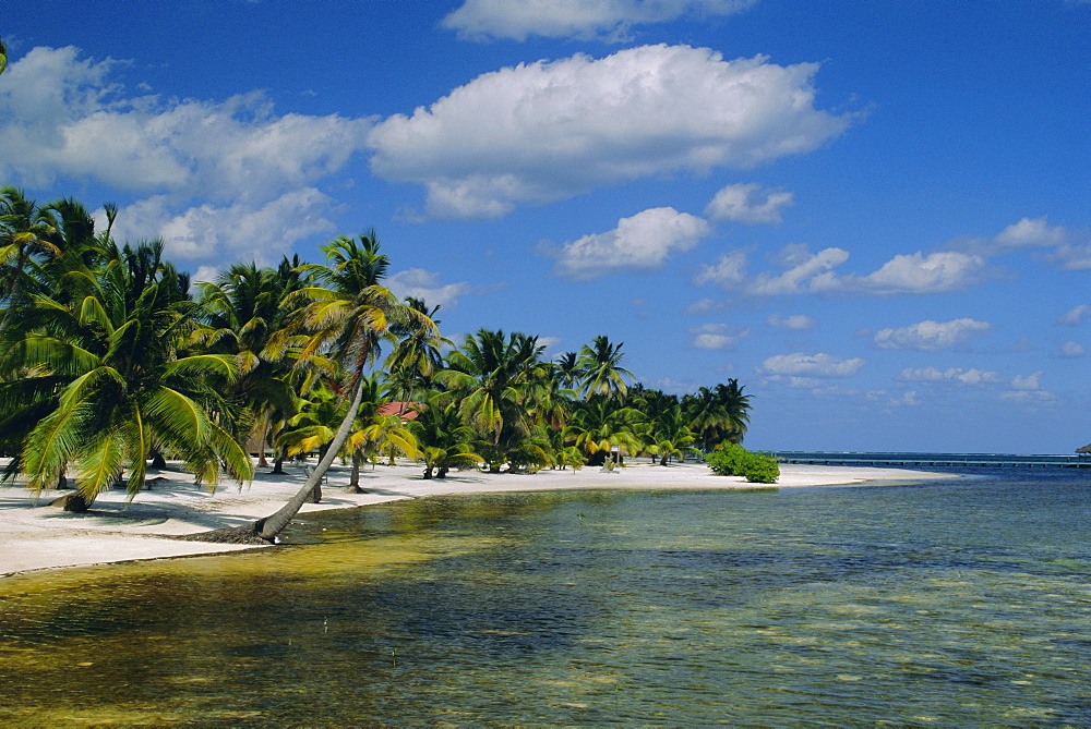 Main dive site in Belize, Ambergris Caye, Belize, Central America