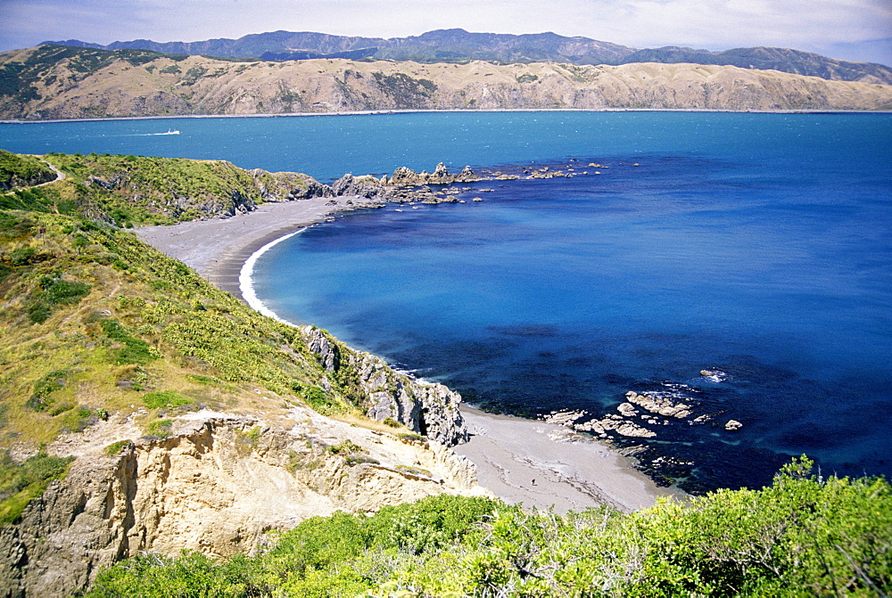 Coastline near Wellington, North Island, New Zealand, Pacific