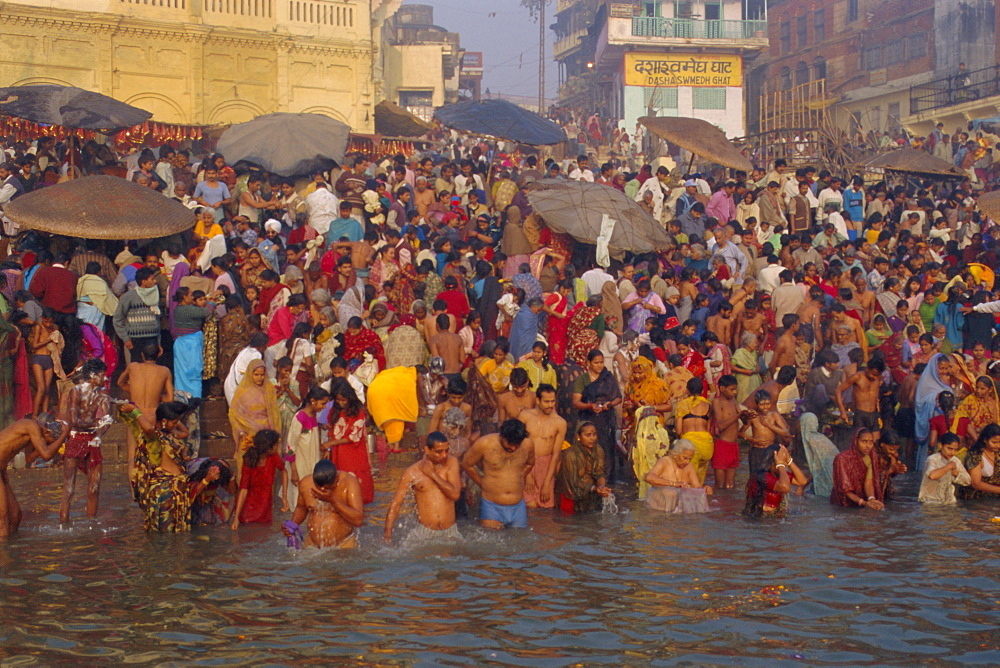 Hindu religious morning rituals in the Ganges (Ganga) River, Makar San Kranti festival, Varanasi (Benares), Uttar Pradesh State, India