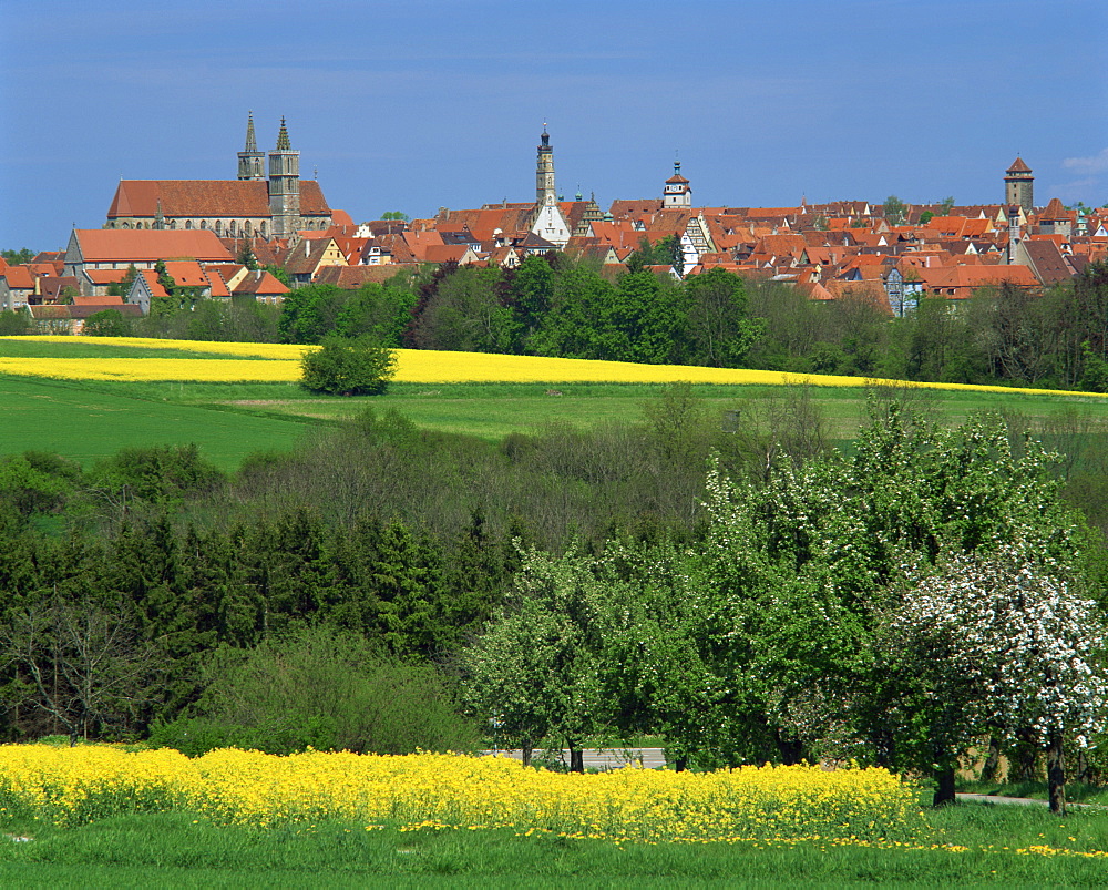 Fields and trees in front of the town skyline of Rothenburg ob der Tauber on the Romantic Road in Bavaria, Germany, Europe