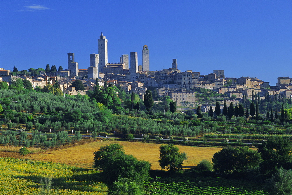 The town of San Gimignano, Tuscany, Italy, Europe