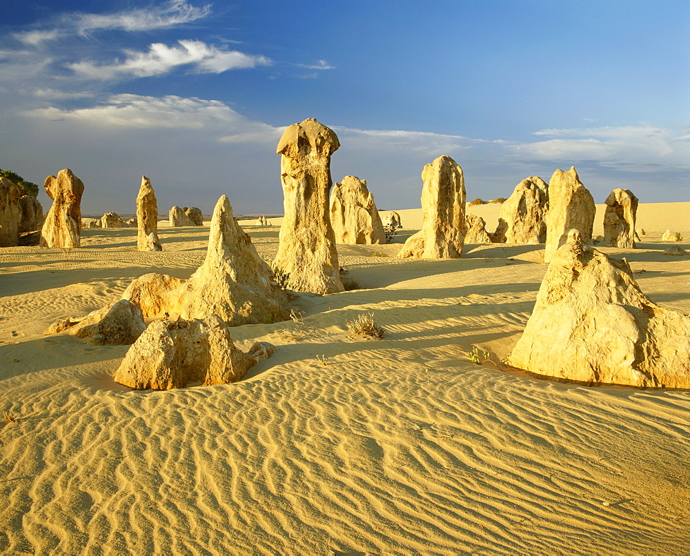 Rock formations in the Pinnacle Desert in Nambung National Park near Perth, Western Australia *** Local Caption ***