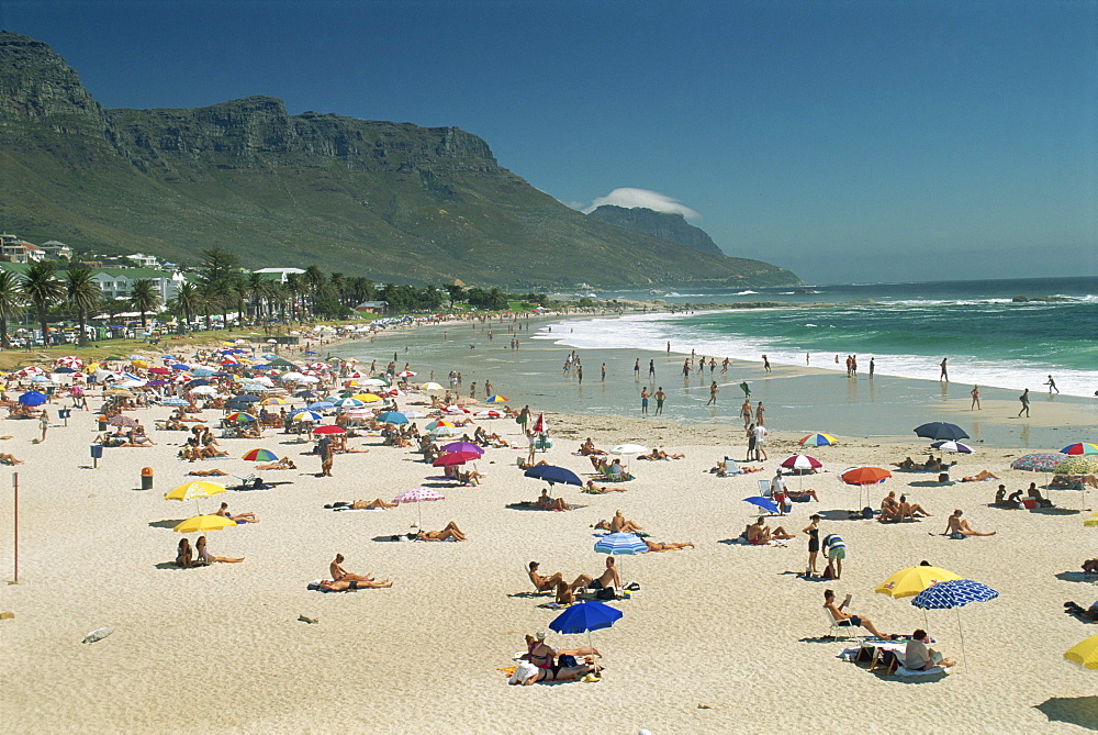 Clifton Bay and beach, sheltered by the Lion's Head and the Twelve Apostles, near Cape Town, South Africa, Africa