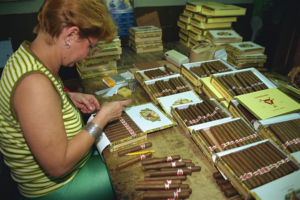 Partagas cigar factory, Havana, Cuba, West Indies, Caribbean, Central America