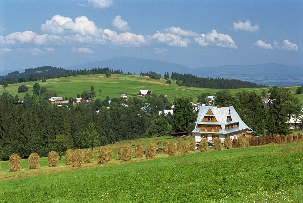 Typical Polish landscape near Zakopane in the Tatra Mountains, Poland, Europe