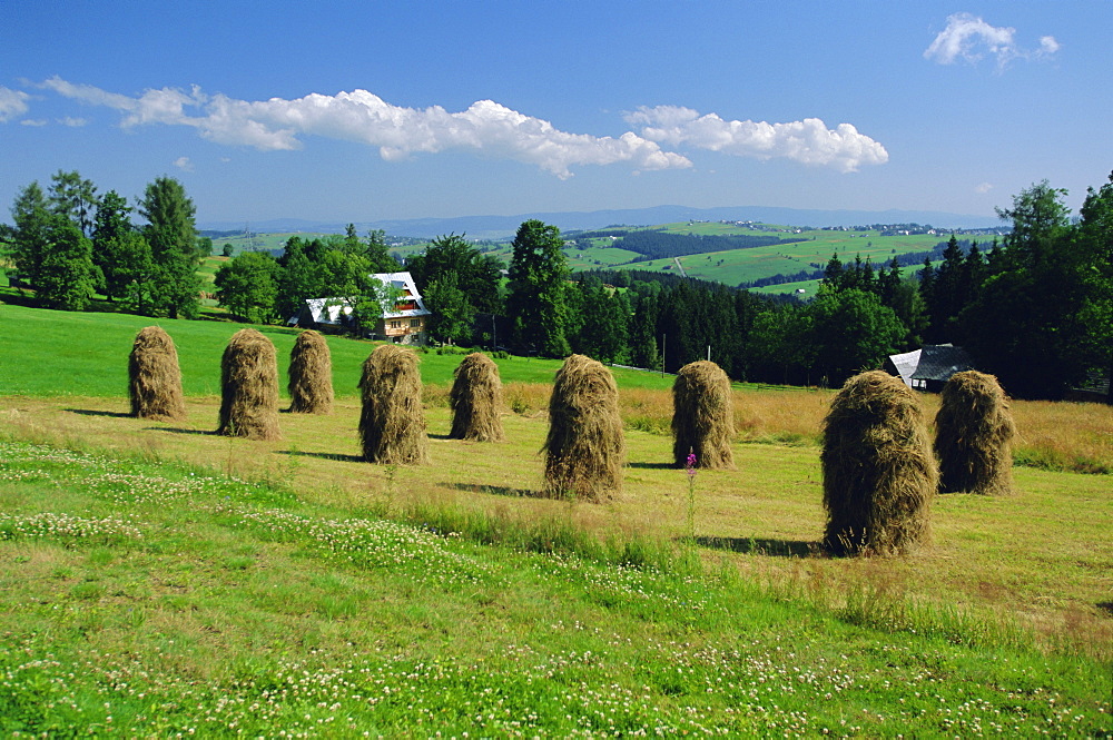 Typical Polish landscape near Zacopane, Tatra Mountains, Poland, Europe