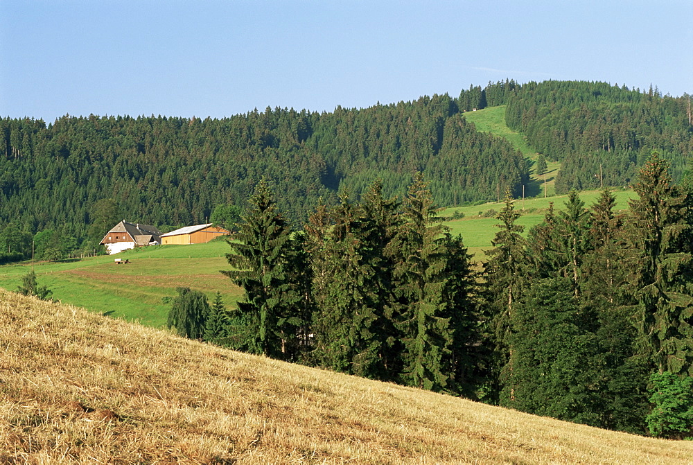 Landscape in the Black Forest (Schwarzwald), Baden-Wurttemberg, Germany, Europe