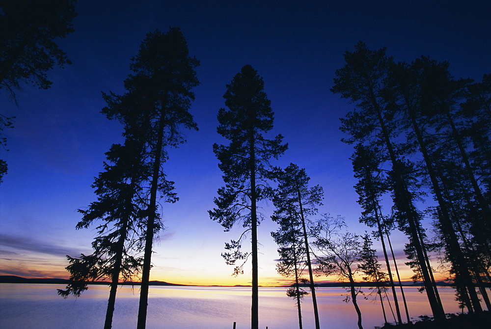 Trees and lake at sunset, Laponia, Lappland, Sweden, Scandinavia, Europe