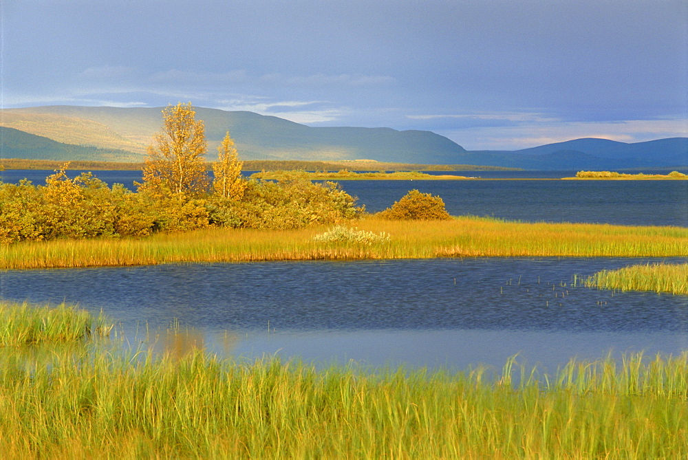 Laponia World Heritage Site, Lappland, Sweden, Scandinavia, Europe