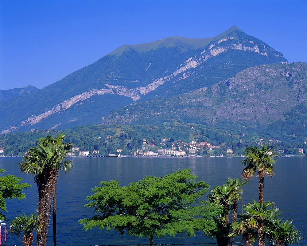 Cadenabbia, Lago di Como (Lake Como), Lombardia (Lombardy), Italian Lakes, Italy, Europe