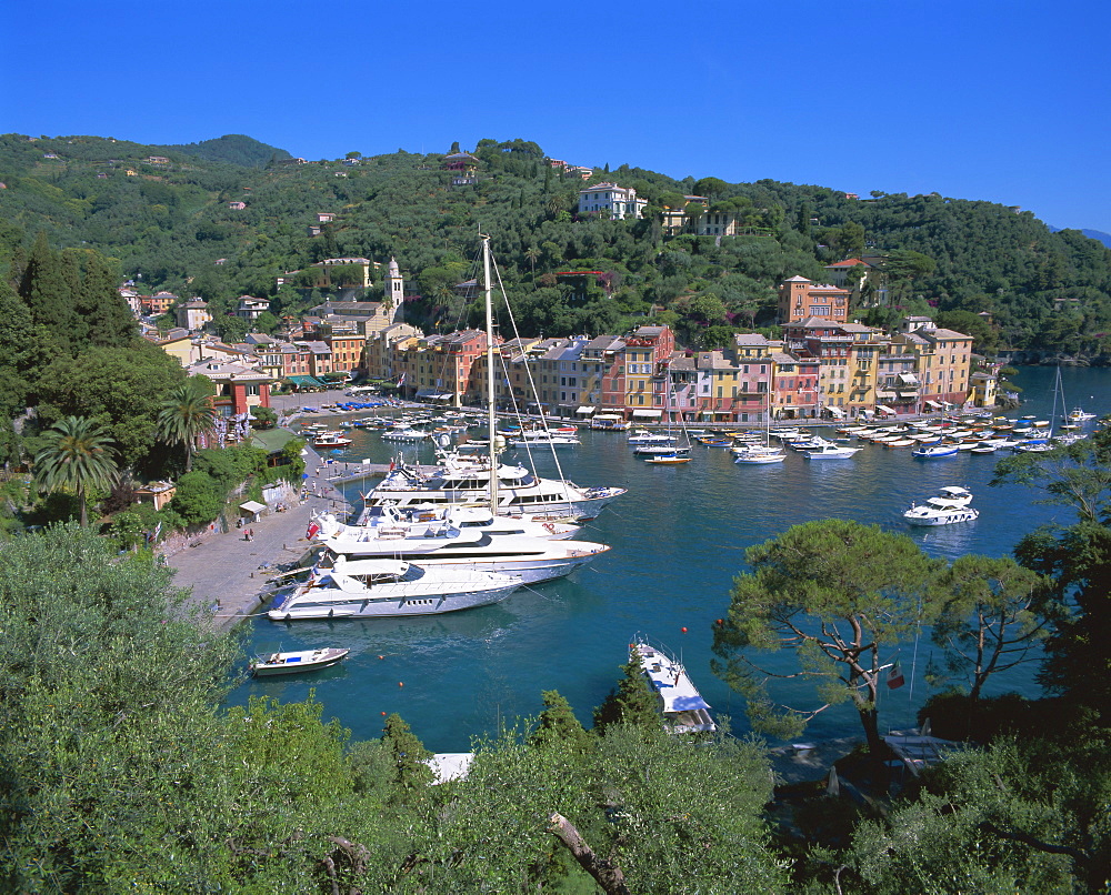 Portofino, Riviera di Levante, Italian Riviera, Liguria, Italy, Europe