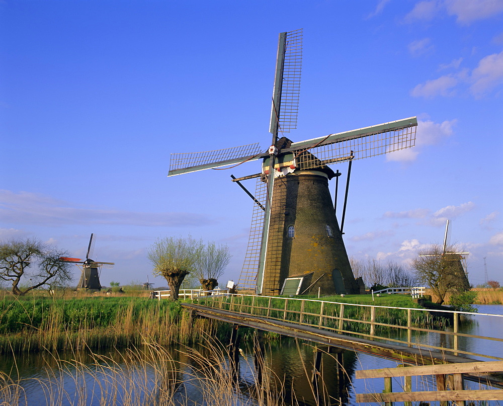 Windmills along the canal, Kinderdijk, UNESCO World Heritage Site, Holland (The Netherlands), Europe