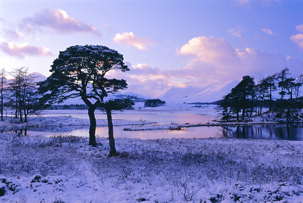 Loch Tulla in winter, Rannoch Moor, Highlands Region, Scotland, UK, Europe