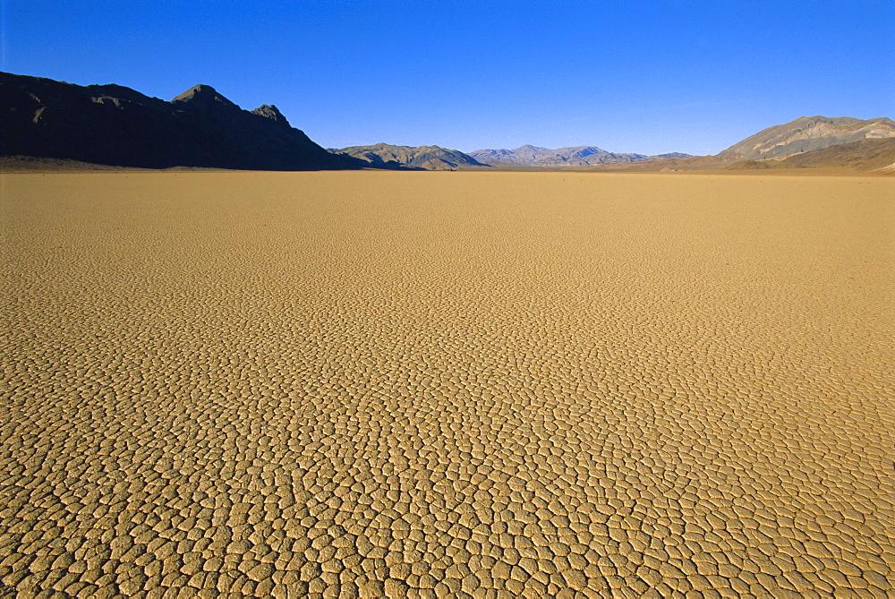 Cracked mud flats, Death Valley National Park, California, USA