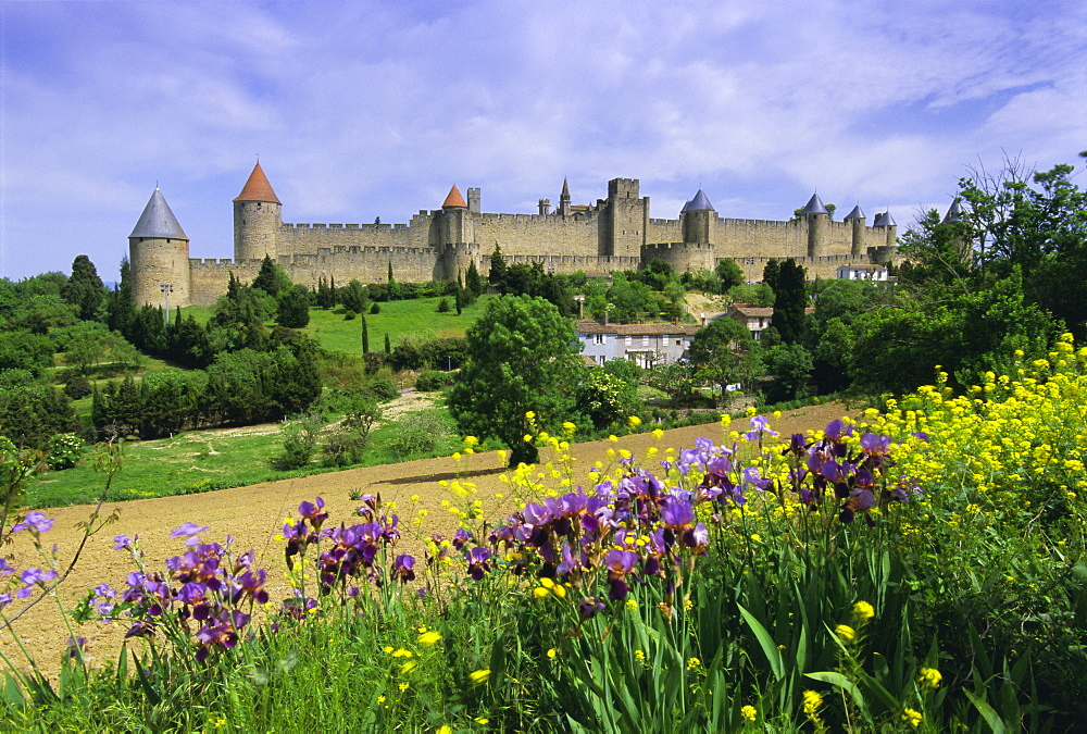 View of the fortified city, Carcassonne, UNESCO World Heritage Site, Languedoc, France, Europe