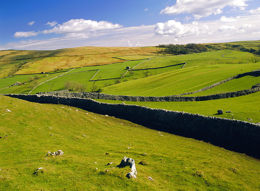 Gordale, Yorkshire Dales National Park, Yorkshire, England, UK, Europe