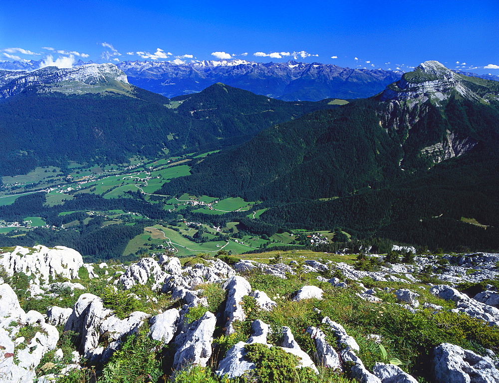 View From the Alps, Chartreuse, France