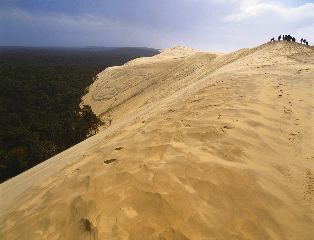 Dune de Pilat, Gironde, Aquitaine, France